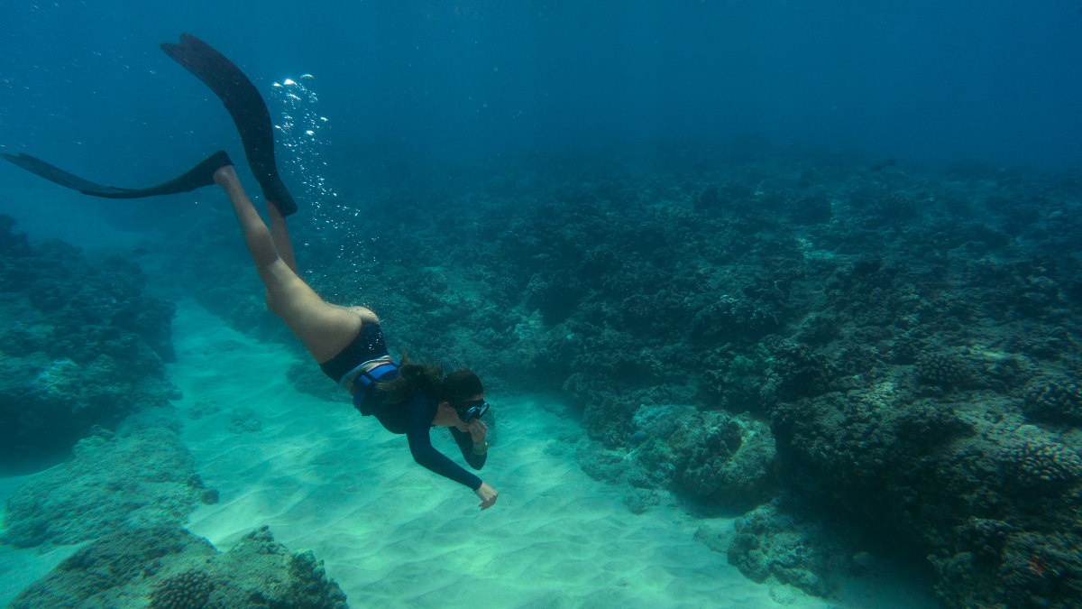 All You Need to Know About Scuba Diving in Sri Lanka